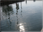 foto Lago di Garda